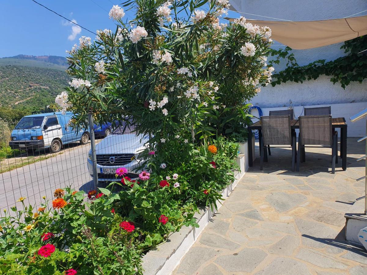 Apartment Doukas &
