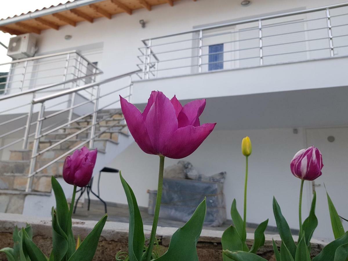 Doukas & Apartmán Skála Marión